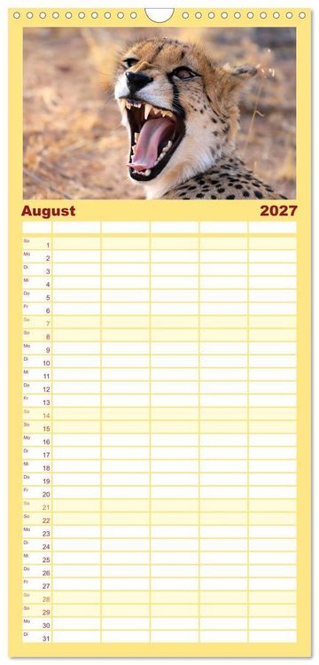 Produktbild: Familienplaner 2027 - Geparden - Begegnungen in Afrika mit 5 Spalten (Wandkalender, 21 x 45 cm) CALVENDO