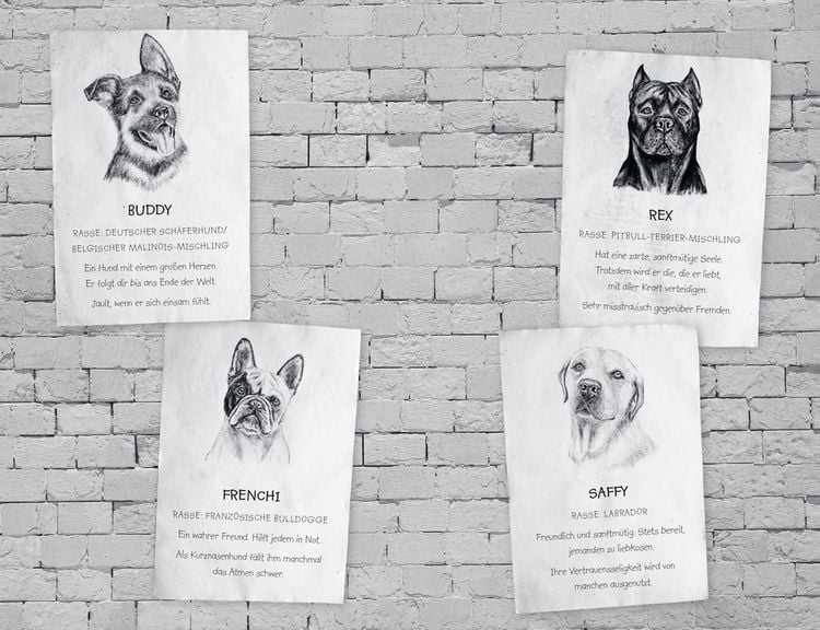Produktbild: Buddy &ndash; Mein Leben als Stra&szlig;enhund
