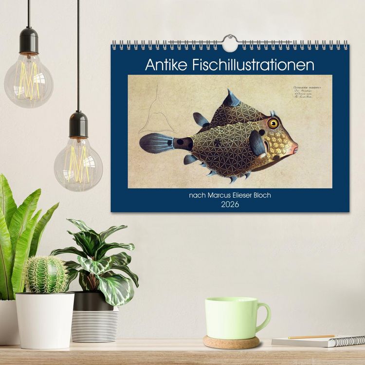 Produktbild: Antike Fischillustrationen nach Marcus Elieser Bloch (Wandkalender 2026 DIN A4 quer), CALVENDO Monatskalender