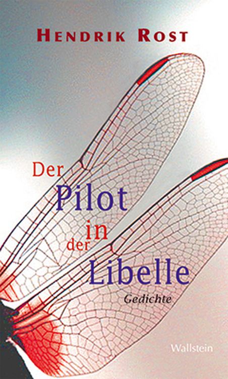 Produktbild: Der Pilot in der Libelle