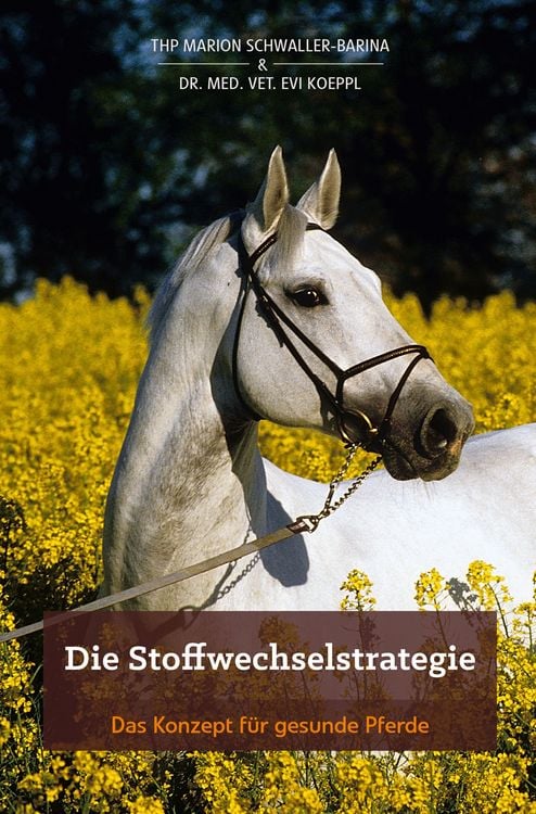 Produktbild: Die Stoffwechselstrategie
