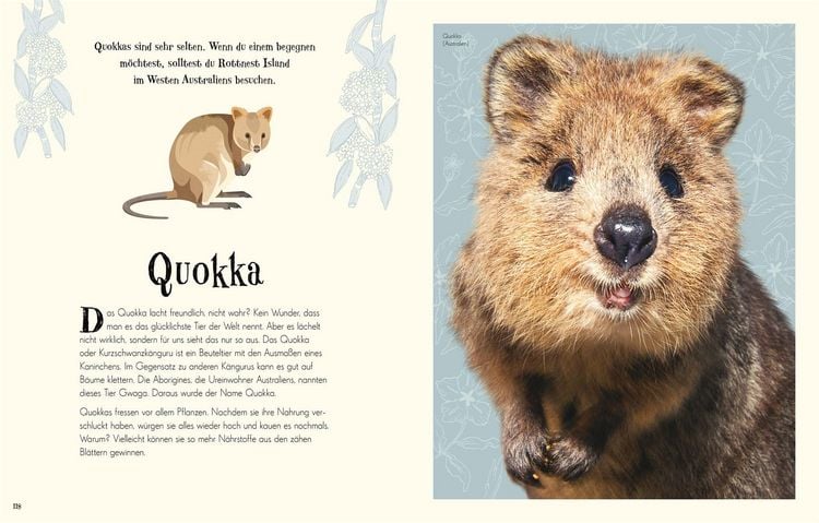 Produktbild: Wundervolle Welt der Tiere