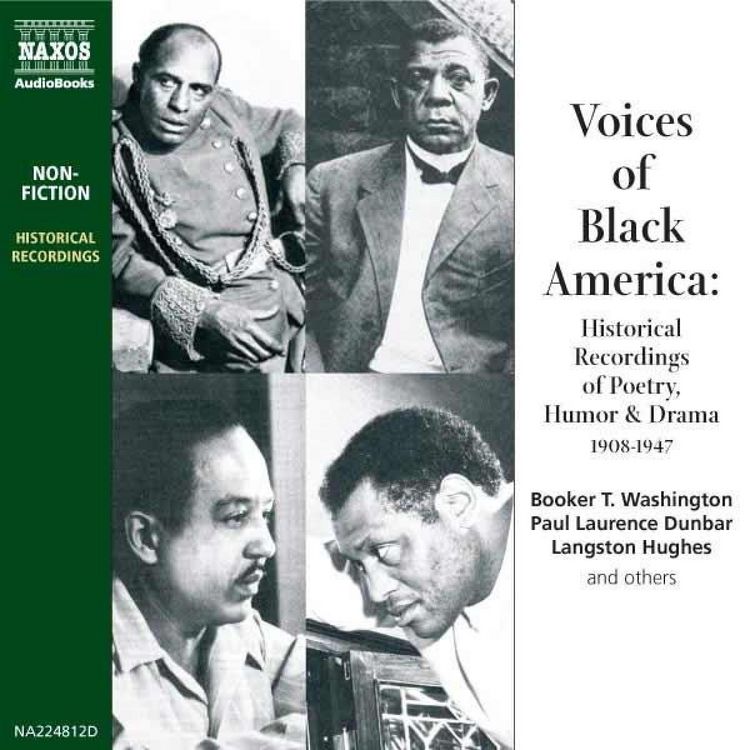 Produktbild: Voices of Black America