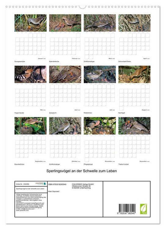 Produktbild: Sperlingsv&ouml;gel an der Schwelle zum Leben (hochwertiger Premium Wandkalender 2026 DIN A2 hoch), Kunstdruck in Hochglanz