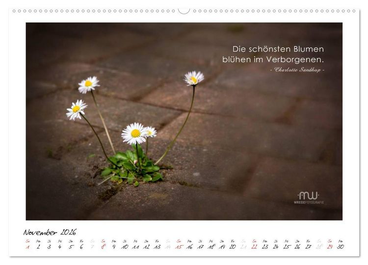 Produktbild: Gedanken... Bildkalender mit Spr&uuml;chen (hochwertiger Premium Wandkalender 2026 DIN A2 quer), Kunstdruck in Hochglanz