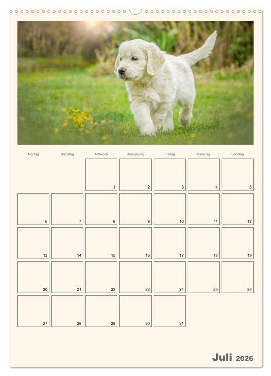 Produktbild: Zauberhafte Golden Retriever (hochwertiger Premium Wandkalender 2026 DIN A2 hoch), Kunstdruck in Hochglanz