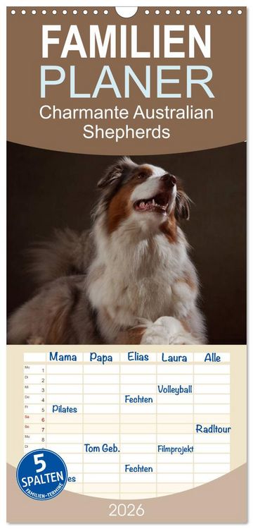 Produktbild: Familienplaner 2026 - Charmante Australian Shepherds mit 5 Spalten (Wandkalender, 21 x 45 cm) CALVENDO