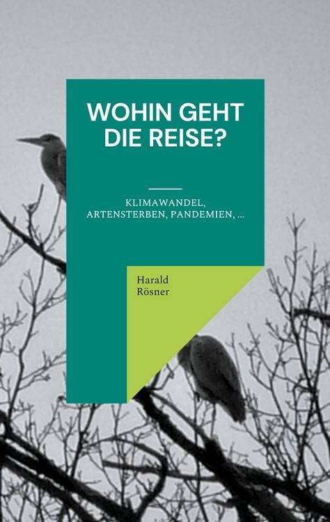 Produktbild: Wohin geht die Reise?