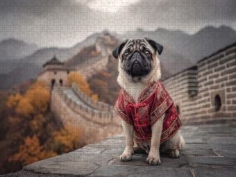 Produktbild: CALVENDO Puzzle Kaiserliche Kuschelschnauze | 1000 Teile Lege-Gr&ouml;&szlig;e 64x48cm Foto-Puzzle f&uuml;r gl&uuml;ckliche Stunden