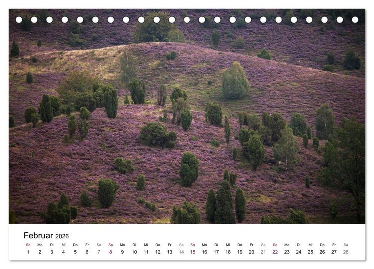 Produktbild: L&uuml;neburger Heide (Tischkalender 2026 DIN A5 quer), CALVENDO Monatskalender