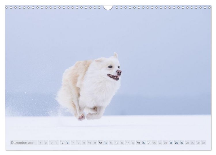Produktbild: Mein fliegender Isl&auml;nder (Wandkalender 2026 DIN A3 quer), CALVENDO Monatskalender