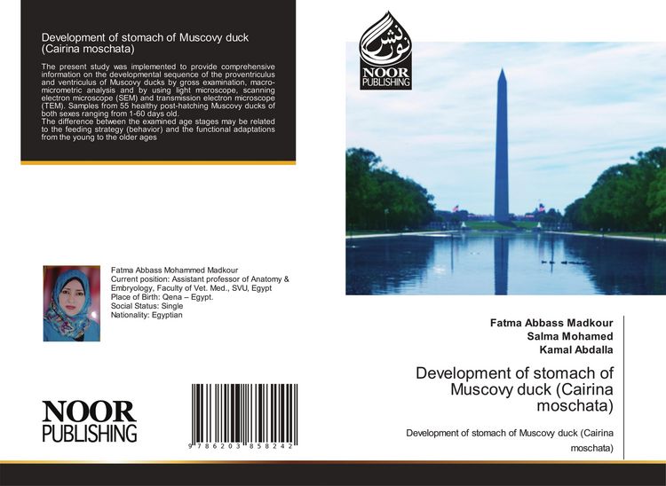 Produktbild: Development of stomach of Muscovy duck (Cairina moschata)