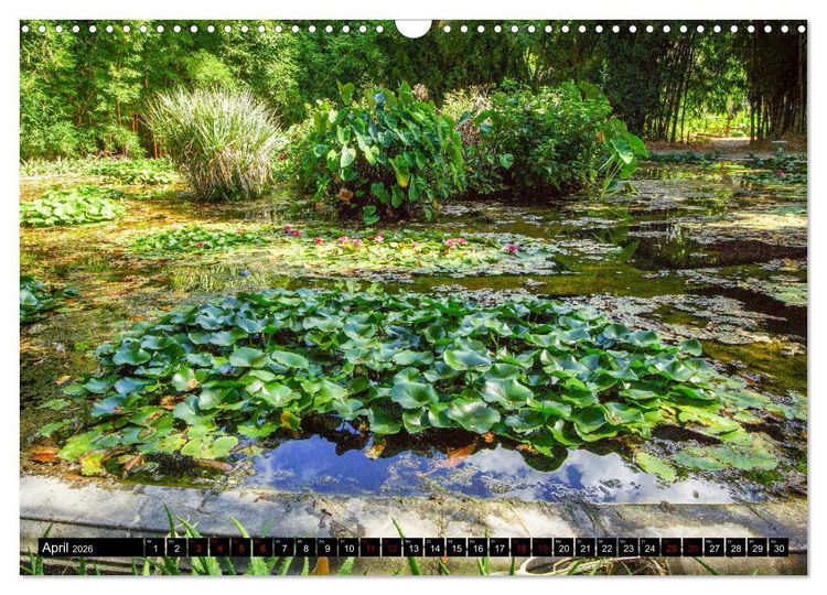 Produktbild: Botanischer Garten Palermo (Wandkalender 2026 DIN A3 quer), CALVENDO Monatskalender