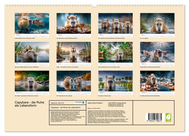 Produktbild: Capybara - die Ruhe als Lebensform (hochwertiger Premium Wandkalender 2027 DIN A2 quer), Kunstdruck in Hochglanz
