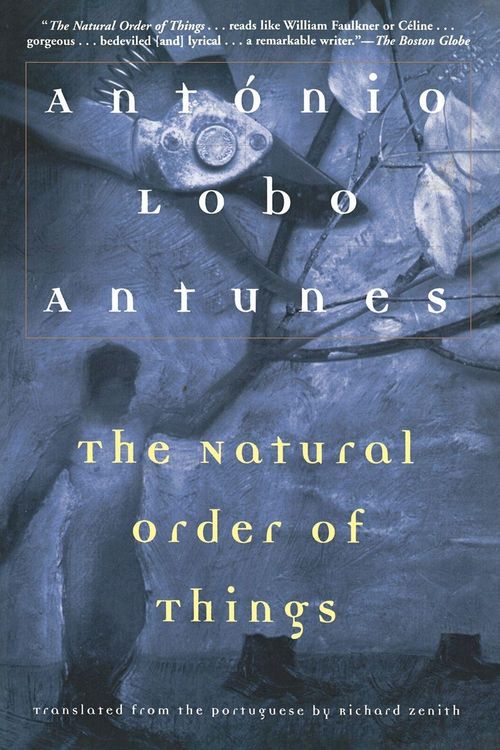 Produktbild: The Natural Order of Things