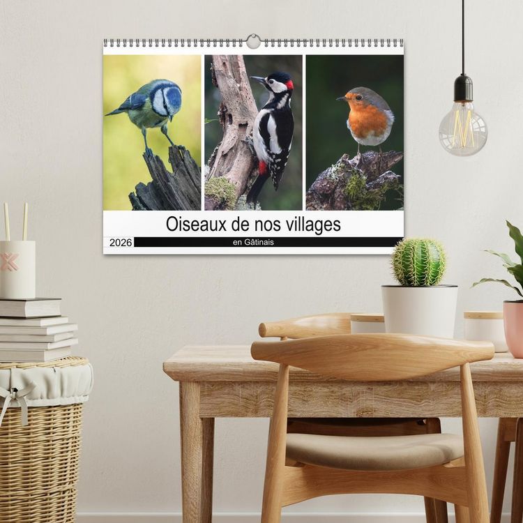 Produktbild: Oiseaux de nos villages en G&acirc;tinais (Calendrier mural 2026 DIN A3 vertical), CALVENDO calendrier mensuel