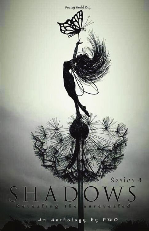 Produktbild: Shadows Series 4