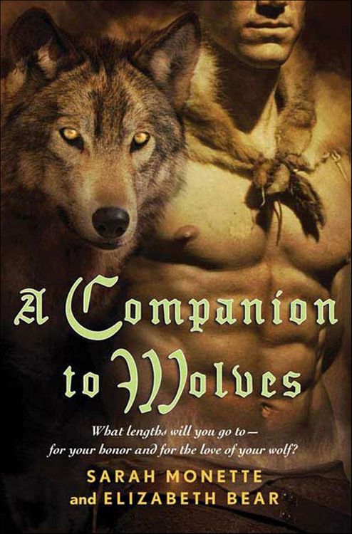 Produktbild: A Companion to Wolves