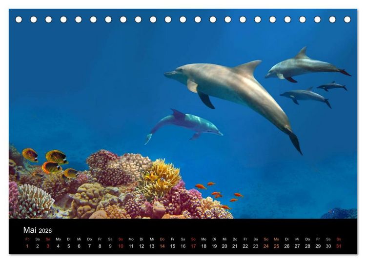 Produktbild: Riffleben - Einfach mal abtauchen (Tischkalender 2026 DIN A5 quer), CALVENDO Monatskalender