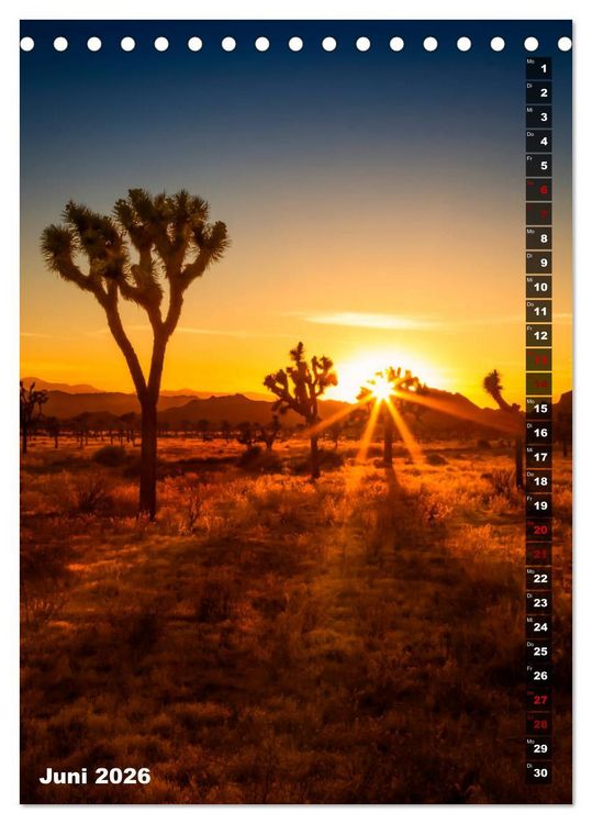 Produktbild: Impressionen aus dem JOSHUA TREE NATIONAL PARK (Tischkalender 2026 DIN A5 hoch), CALVENDO Monatskalender