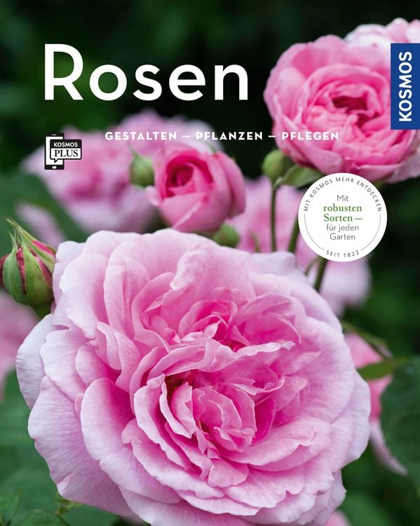 Bild vom Artikel Rosen (Mein Garten) vom Autor Thomas Proll