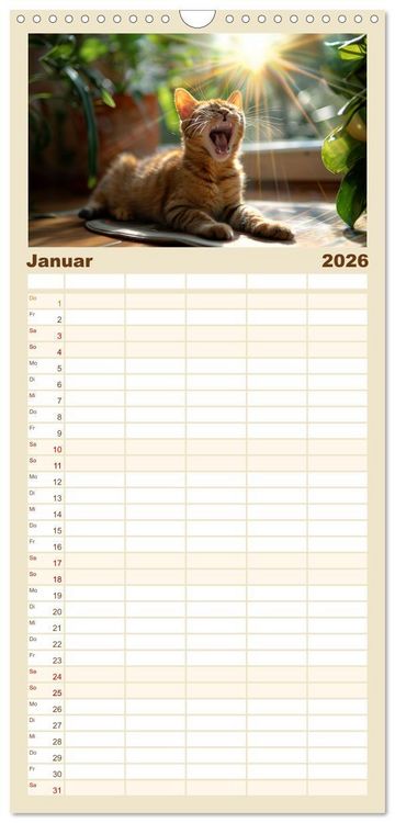 Produktbild: Familienplaner 2026 - Ansteckend m&uuml;de! mit 5 Spalten (Wandkalender, 21 x 45 cm) CALVENDO