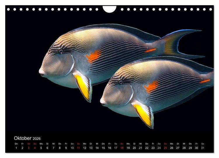 Produktbild: Tr&auml;ume unter Wasser (Wandkalender 2026 DIN A4 quer), CALVENDO Monatskalender