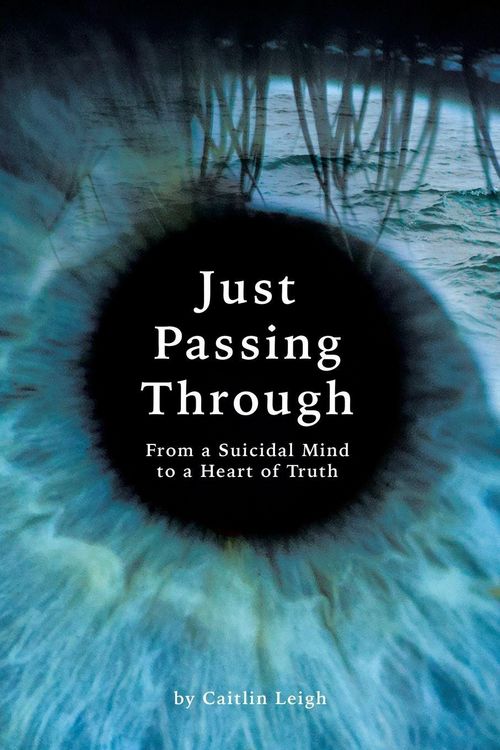 Produktbild: Just Passing Through