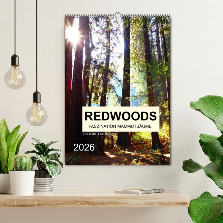 Produktbild: Redwoods - Faszination Mammutb&auml;ume (Wandkalender 2026 DIN A2 hoch), CALVENDO Monatskalender