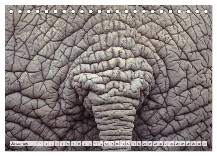 Produktbild: Popo-Kalender (Tischkalender 2026 DIN A5 quer), CALVENDO Monatskalender