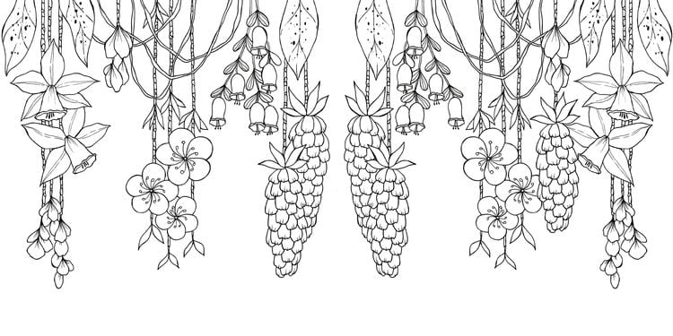 Produktbild: Tropical Flowers &ndash; Exotische Blumen- und Pflanzen-Motive ausmalen