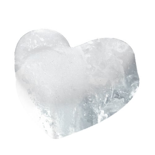 Produktbild: Blatt & Bl&uuml;te Eisw&uuml;rfelform