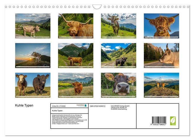 Produktbild: Kuhle Typen (Wandkalender 2026 DIN A3 quer), CALVENDO Monatskalender