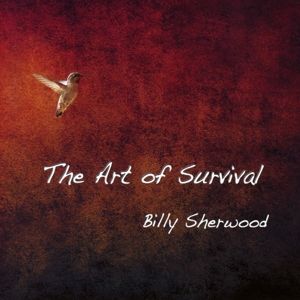 Produktbild: Sherwood, B: Art Of Survival