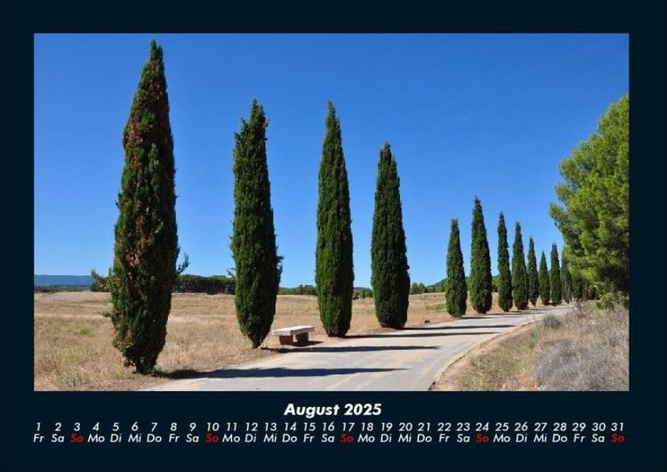 Produktbild: B&auml;ume 2025 Fotokalender DIN A4