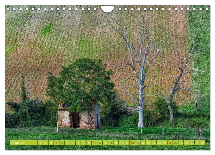 Produktbild: Solitude verdoyante (Calendrier mural 2026 DIN A4 vertical), CALVENDO calendrier mensuel