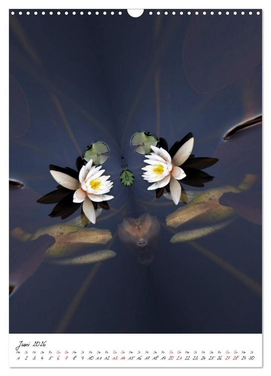 Produktbild: Durchschnittlich - Verzauberte Flora (Wandkalender 2026 DIN A3 hoch), CALVENDO Monatskalender