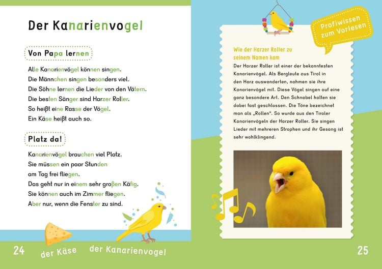Produktbild: Dein Lesestart: Wei&szlig;t du schon alles &uuml;ber Haustiere? Ab 1. Klasse