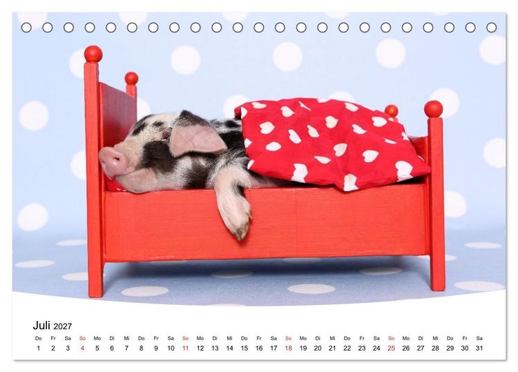 Produktbild: Niedliche Ferkel lovely piglets (Tischkalender 2027 DIN A5 quer), CALVENDO Monatskalender