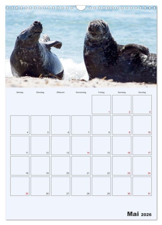 Produktbild: Wildes Leben auf Helgoland (Wandkalender 2026 DIN A3 hoch), CALVENDO Monatskalender