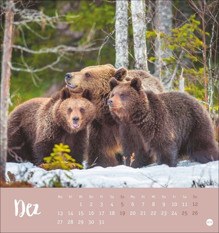 Produktbild: B&auml;renstark Postkartenkalender 2027