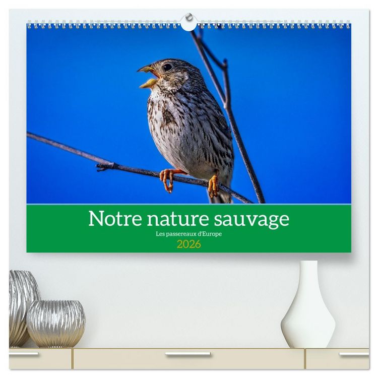 Produktbild: Notre nature sauvage, les passereaux d'Europe (Calendrier mural 2026 DIN A2 vertical) calendrier de bureau