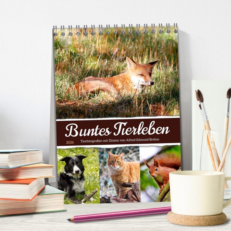 Produktbild: Buntes Tierleben (Tischkalender 2026 DIN A5 hoch), CALVENDO Monatskalender
