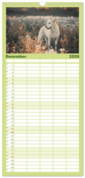 Produktbild: Familienplaner 2026 - Faszination Labrador - gelb, foxred, schwarz mit 5 Spalten (Wandkalender, 21 x 45 cm) CALVENDO