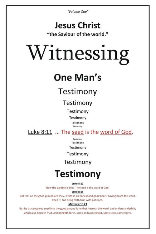 Produktbild: Witnessing One Man's Testimony