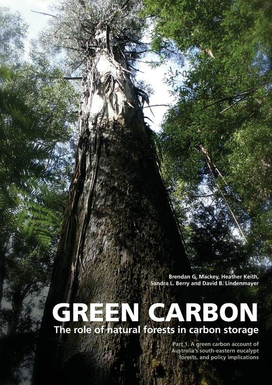 Produktbild: Green Carbon Part 1