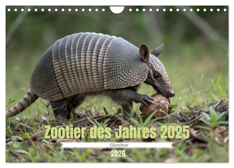 Produktbild: Zootier des Jahres 2025 - G&uuml;rteltier (Wandkalender 2026 DIN A4 quer), CALVENDO Monatskalender