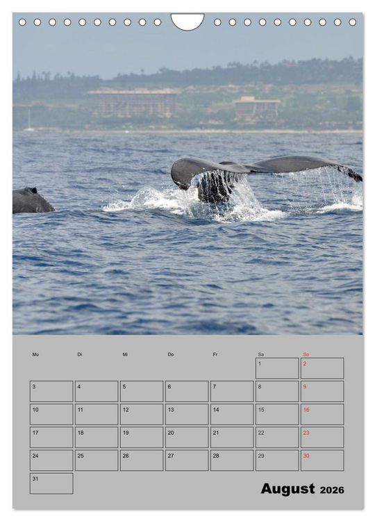 Produktbild: Hawaii - Land of Aloha (Wandkalender 2026 DIN A4 hoch), CALVENDO Monatskalender