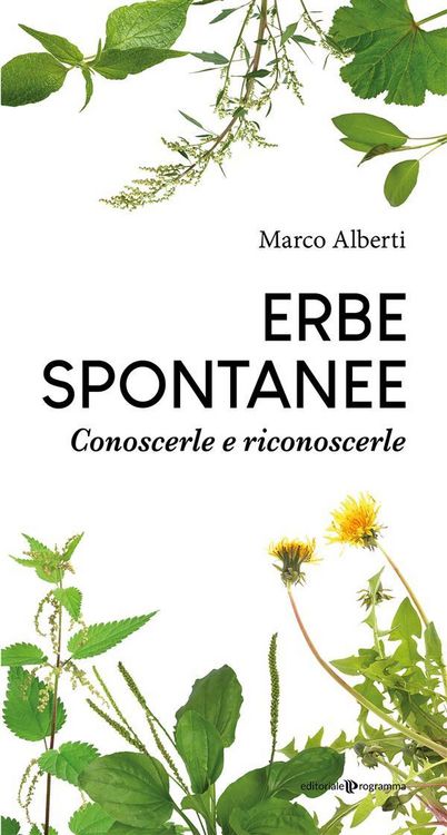 Produktbild: Erbe spontanee