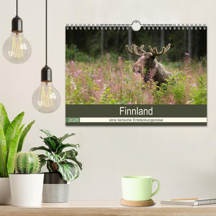 Produktbild: Finnland: eine tierische Entdeckungsreise (Wandkalender 2026 DIN A4 quer), CALVENDO Monatskalender
